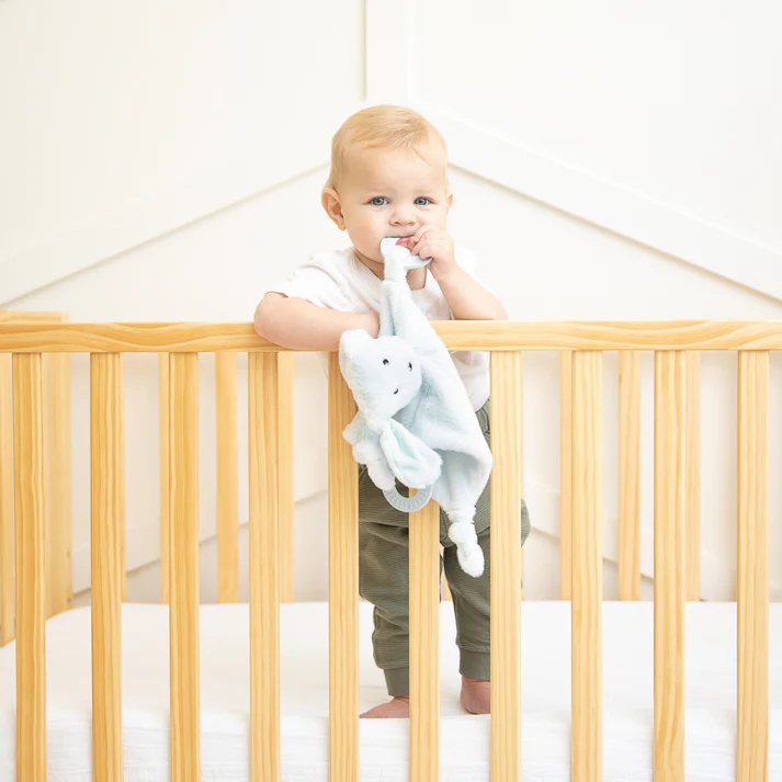 Teether Buddy, Danny the Dog