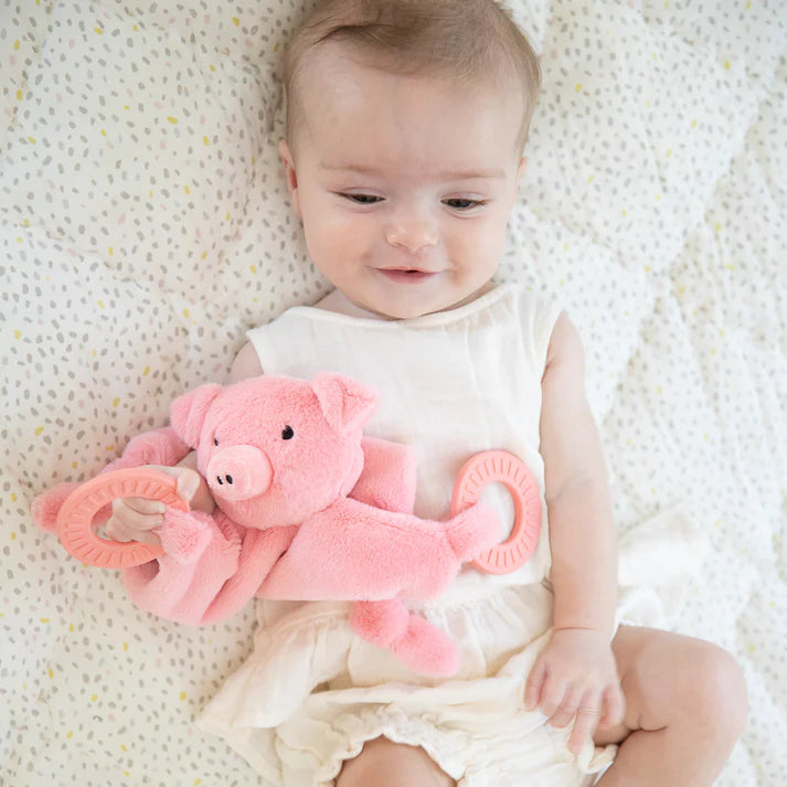 Teether Buddy, Penny the Pig